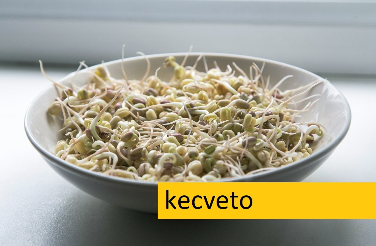 Kecveto: The Amazonian Superfood You Need to Know About